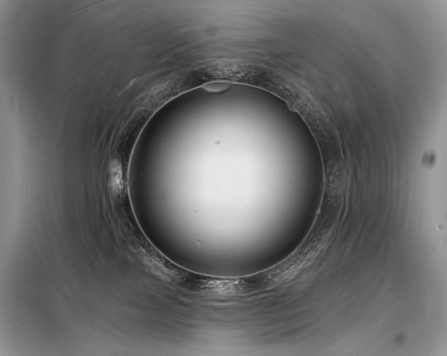 X0000098230089200804241350