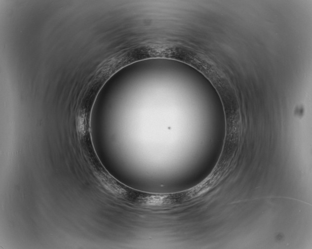 X0000098230090200804241350