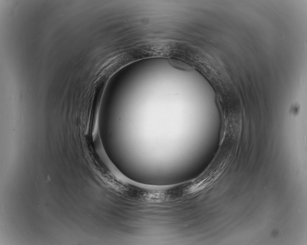 X0000098230092200804241350