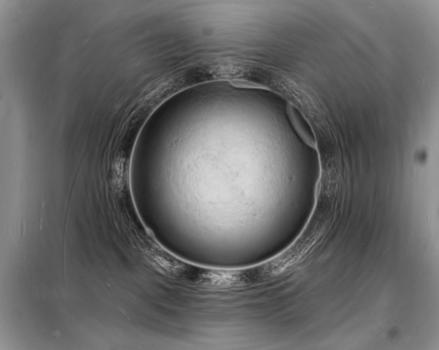 X0000098230093200804241350