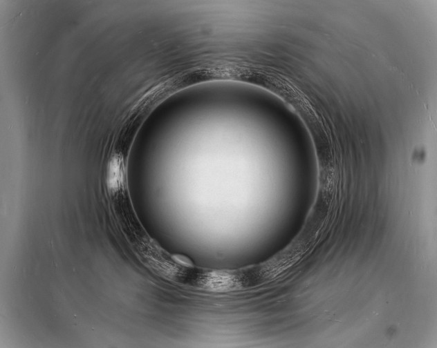 X0000098230095200804241350