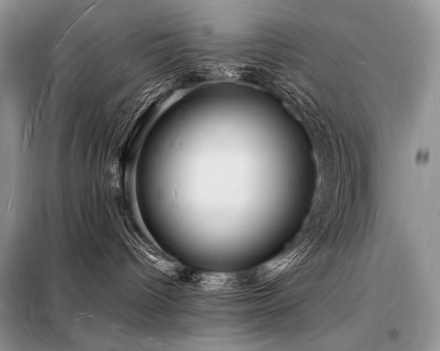 X0000098230096200804241350