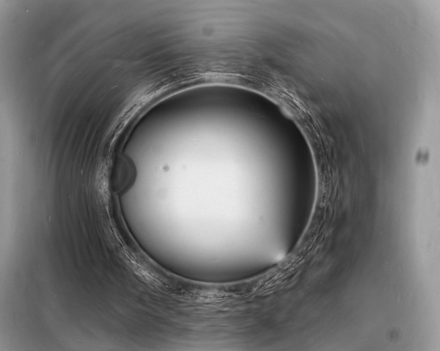 X0000098230098200804241349
