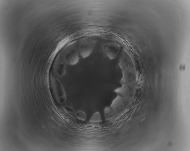 X0000098230099200804241349
