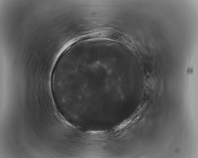 X0000098230100200804241349
