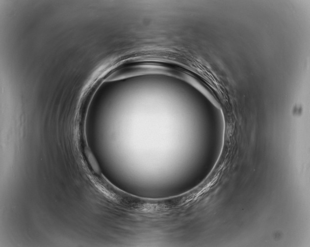 X0000098230101200804241349