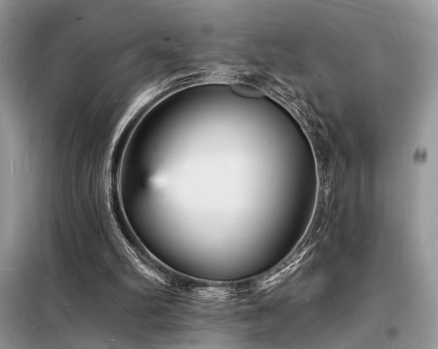 X0000098230102200804241349