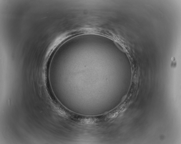 X0000098230103200804241349