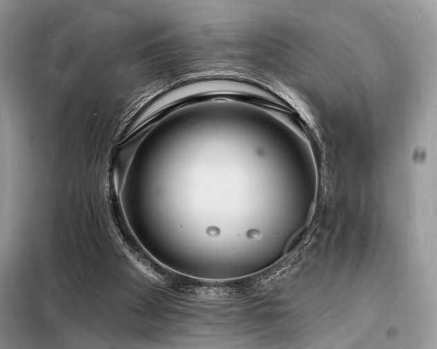 X0000098230105200804241349