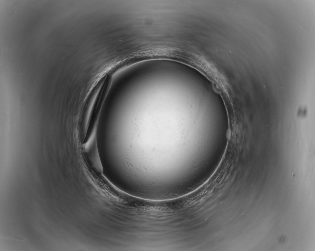X0000098230107200804241349