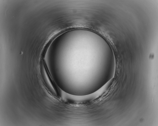 X0000098230108200804241349