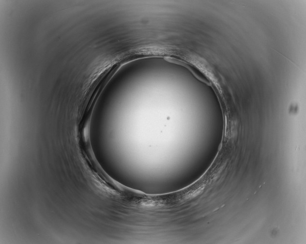 X0000098230109200804241349