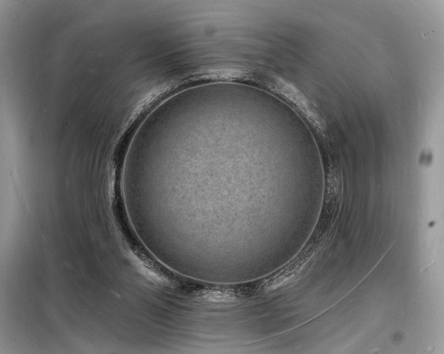 X0000098230110200804241349