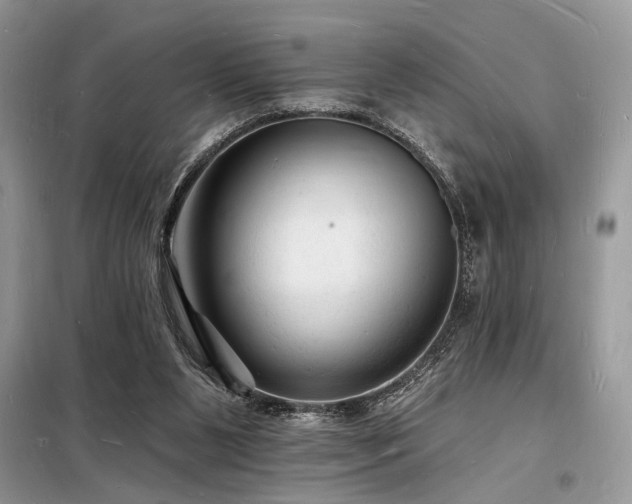 X0000098230111200804241349