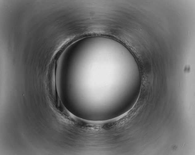 X0000098230112200804241349