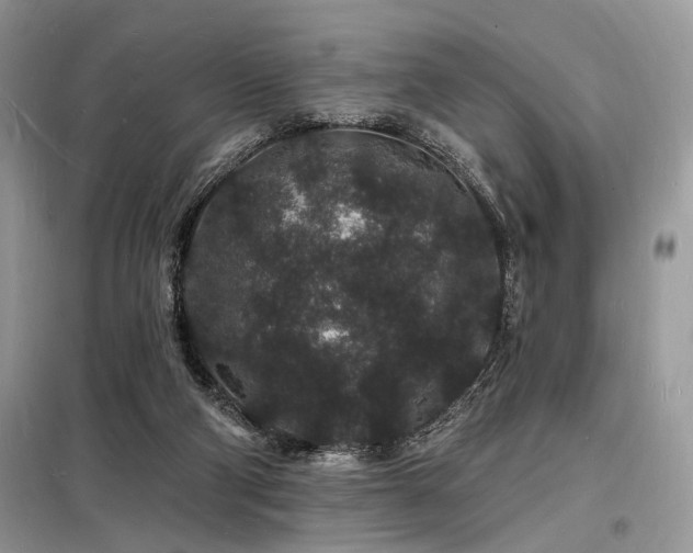 X0000098230114200804241349