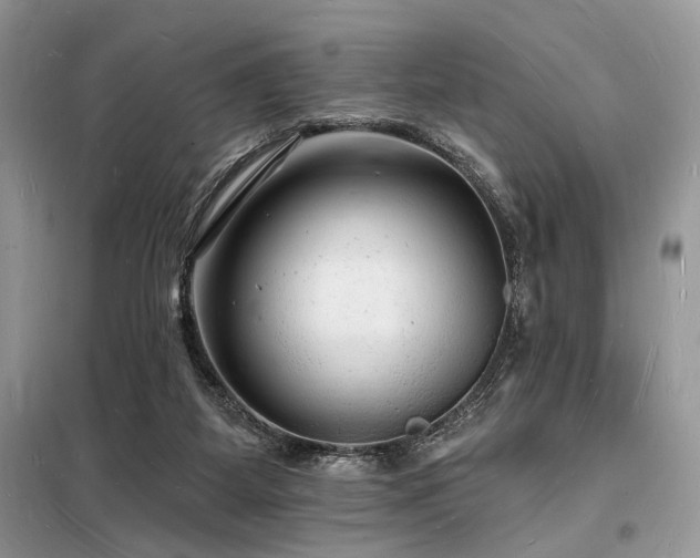 X0000098230115200804241349