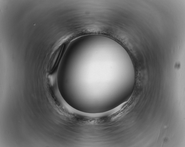 X0000098230116200804241349