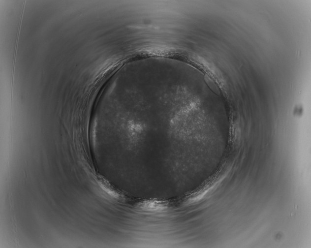X0000098230117200804241349