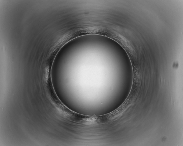 X0000098230118200804241349