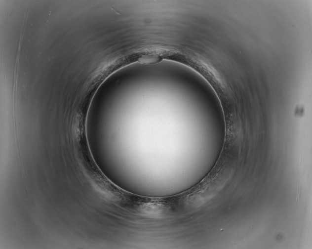 X0000098230119200804241349