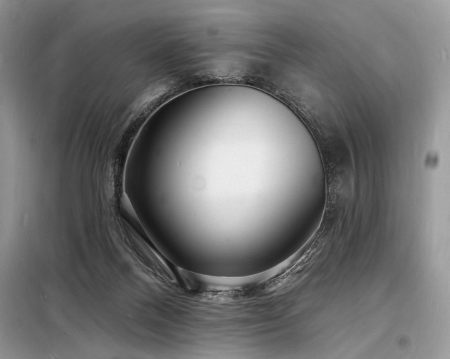 X0000098230120200804241349