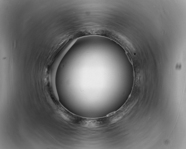 X0000098230121200804241349