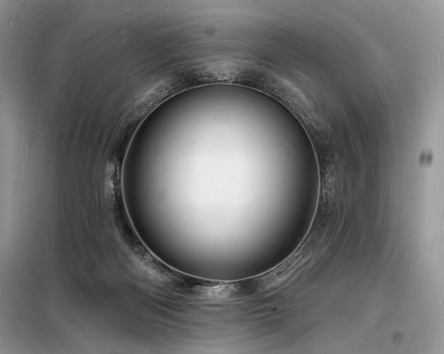 X0000098230122200804241349