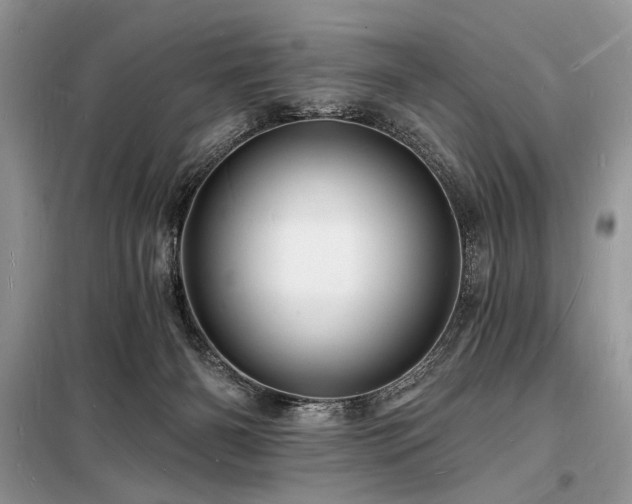 X0000098230126200804241349
