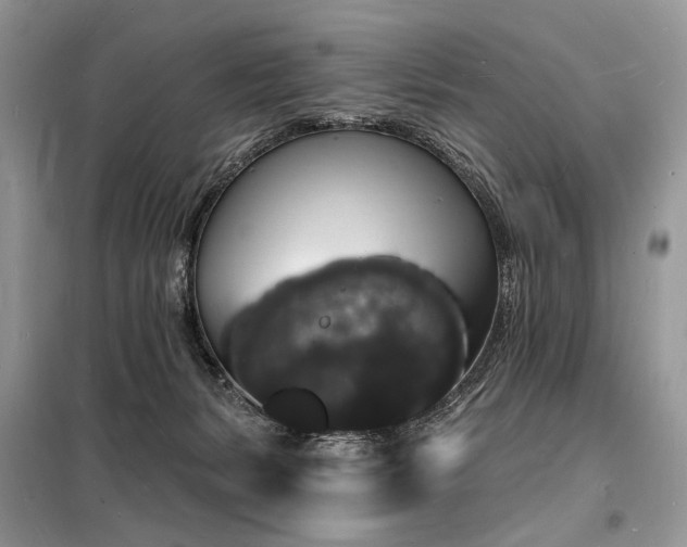 X0000098230127200804241349