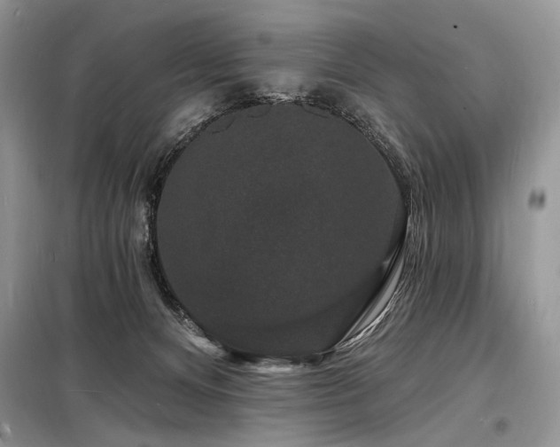 X0000098230128200804241349