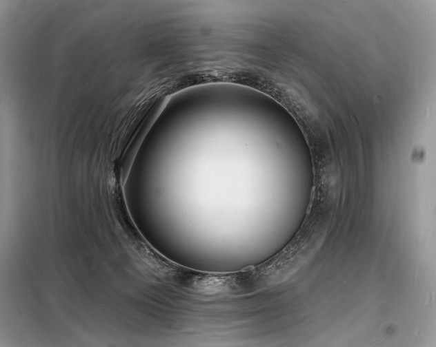 X0000098230129200804241349