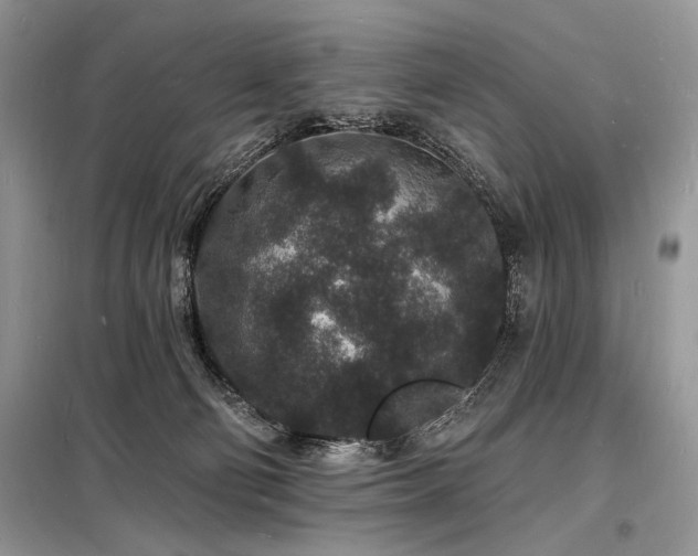 X0000098230130200804241349