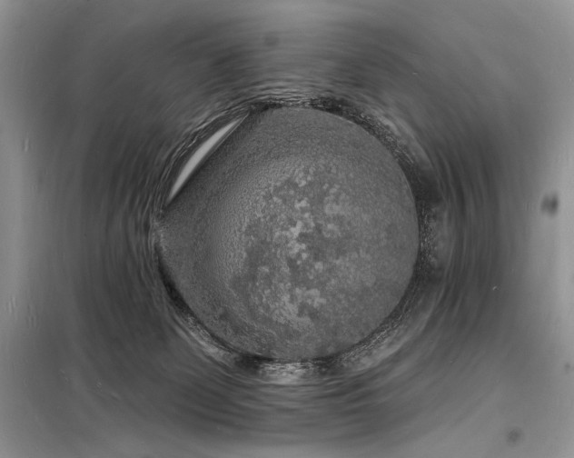 X0000098230131200804241349