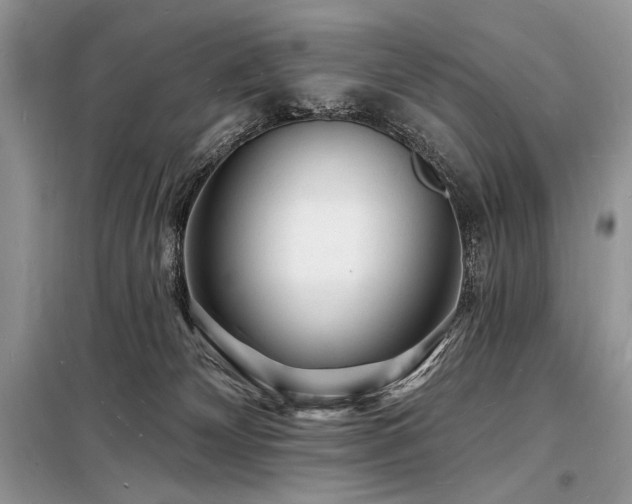 X0000098230132200804241349