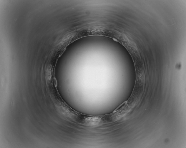 X0000098230133200804241349