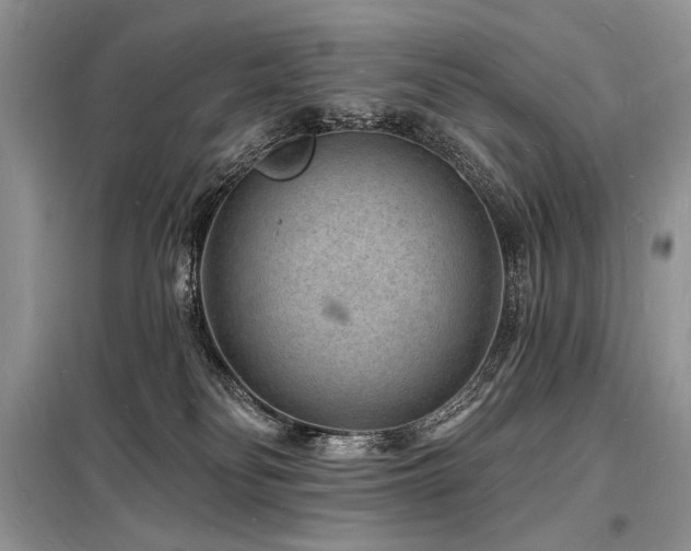 X0000098230134200804241349