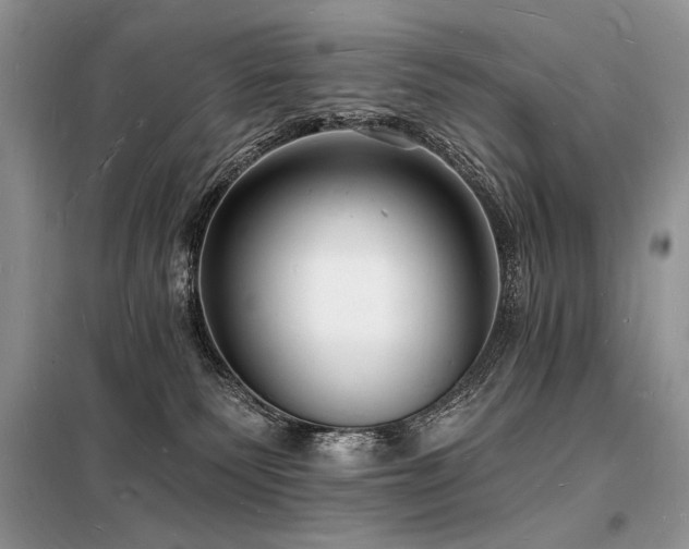 X0000098230135200804241349