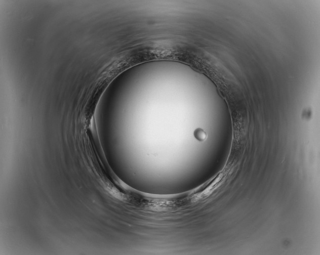 X0000098230136200804241349