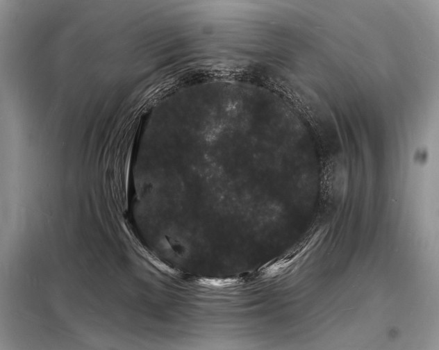X0000098230137200804241349