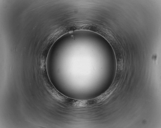 X0000098230138200804241349