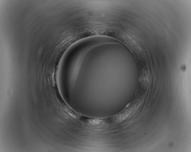 X0000098230139200804241349