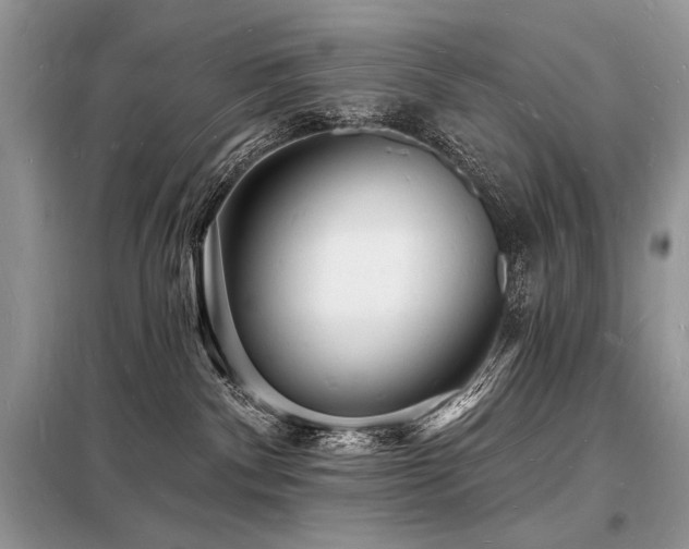 X0000098230140200804241349