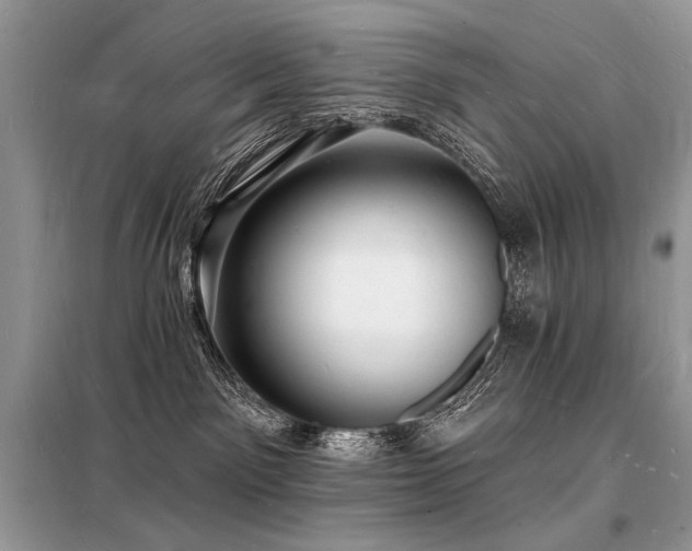 X0000098230141200804241349