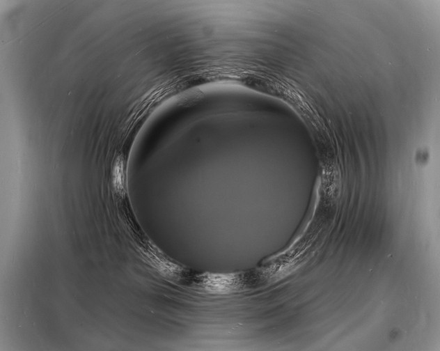 X0000098230143200804241349
