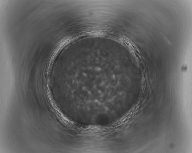 X0000098230145200804241348