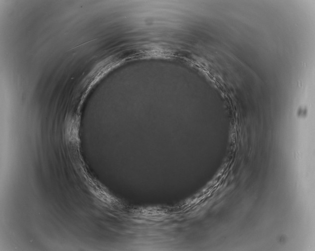 X0000098230146200804241348