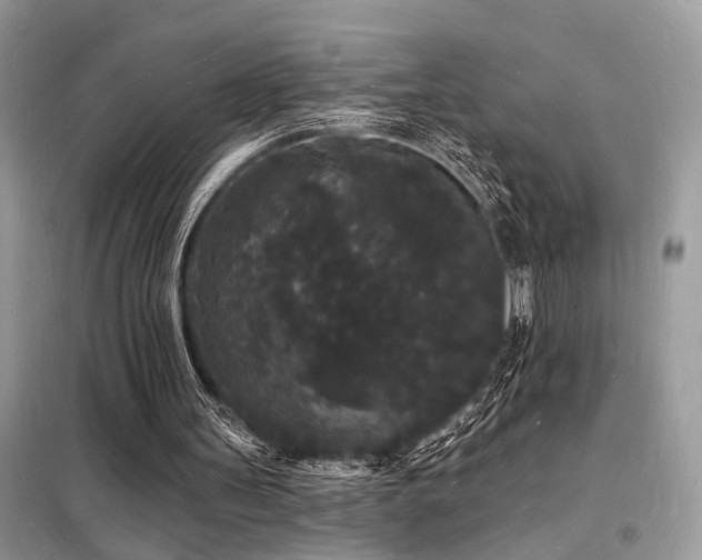 X0000098230147200804241348