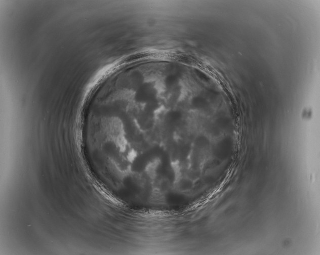 X0000098230149200804241348