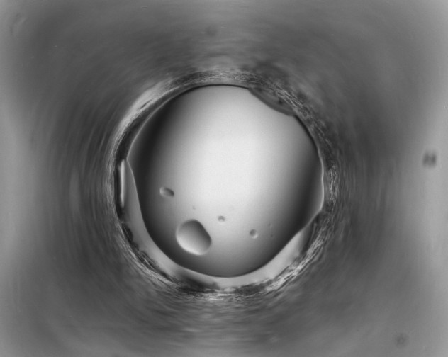 X0000098230150200804241348